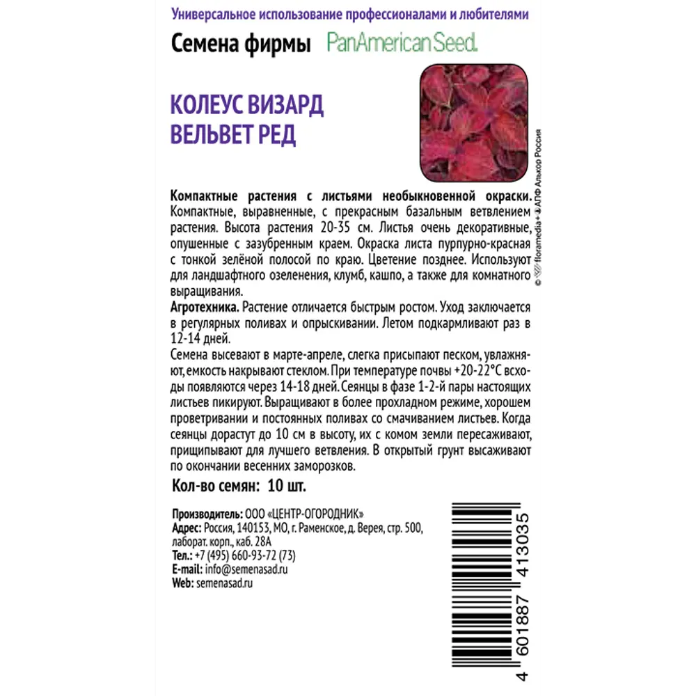 ПОИСК Колеус Визард Вельвет Ред - декоративный с пурпурно-красными листьями 89401226 STLM-1570388 - Вид №1