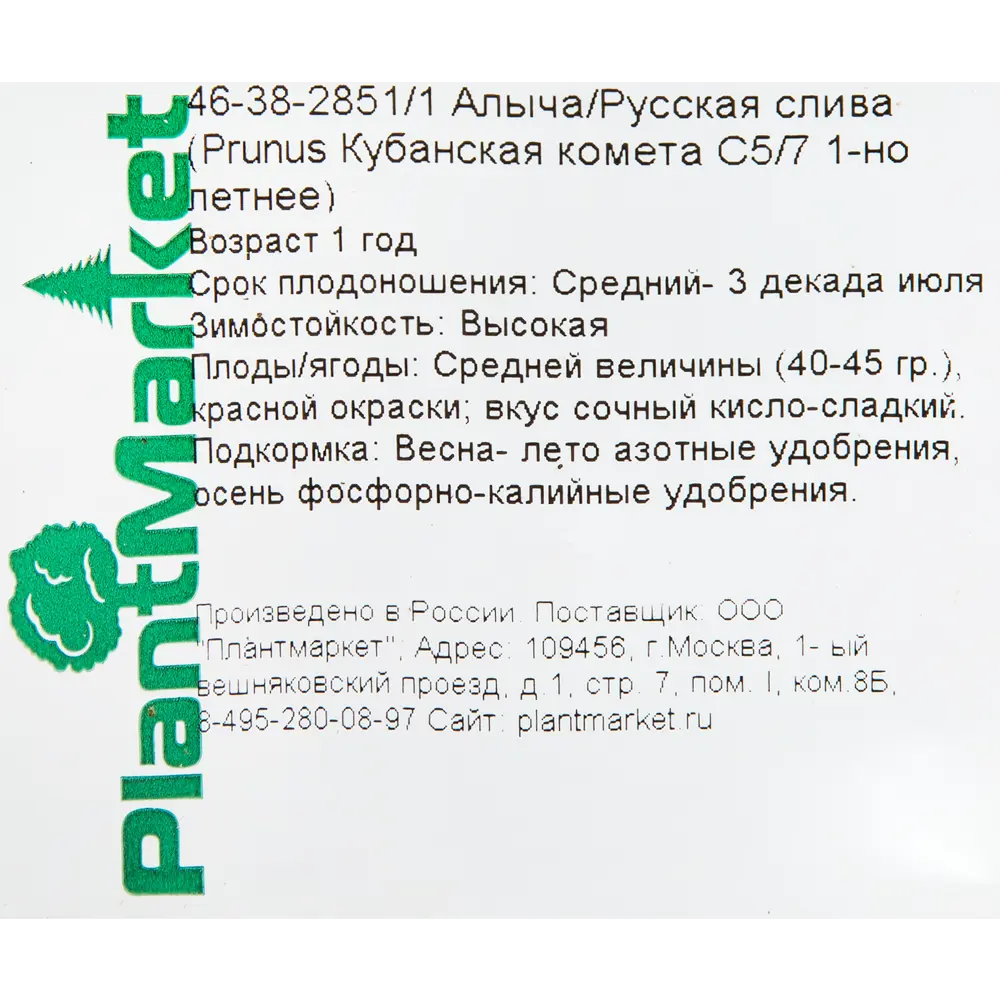 Алыча/Слива русская «Кубанская комета», С5-С7, однолетняя 18469587 STLM-2111118 Santreyd  - Вид №1