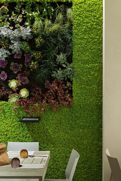 TM Italia Cucine Мебель для магазинов sun-id-1422985 - Вид №13