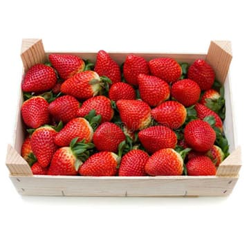 Клубника Армения в ящике ~2,5 кг Santreyd 31022 - Вид №1