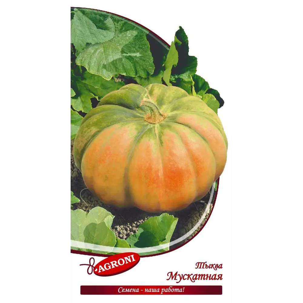 Семена тыквы Мускатной AGRONI - среднеранний сорт для домашнего огорода 89400867 STLM-1579113