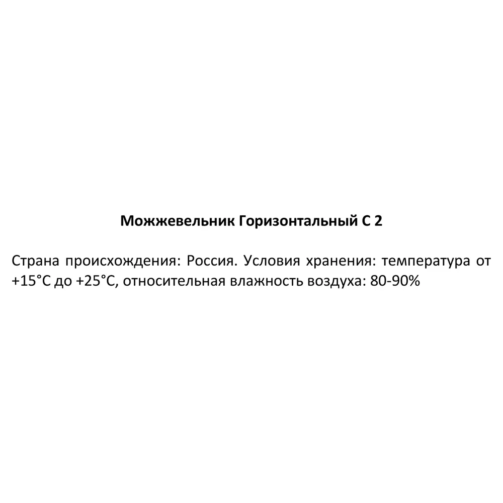 Можжевельник горизонтальный ø17 h45 см 84429209 STLM-2032672 Santreyd  - Вид №2