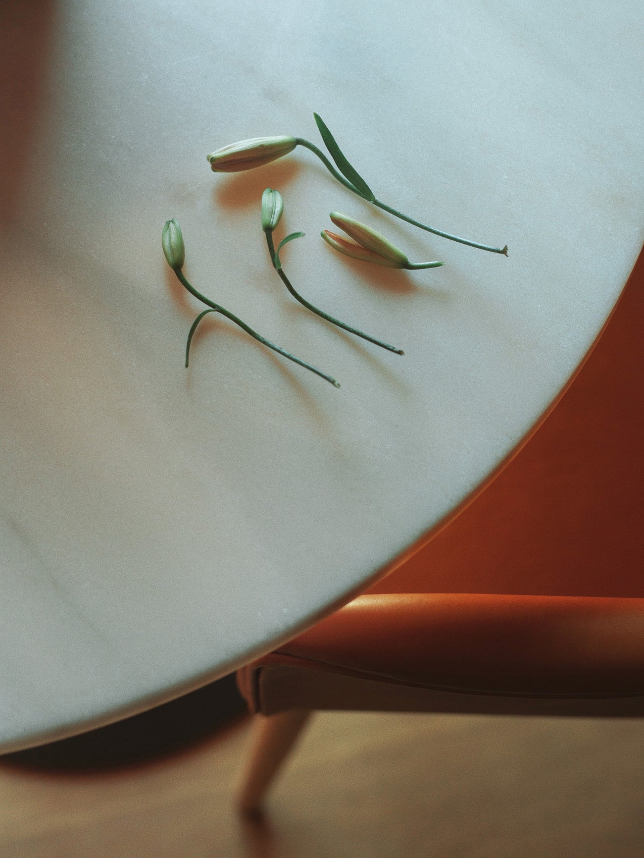 5709262025602 Стол колонны гавани, столешница круглого стола LuceLight  - Вид №10