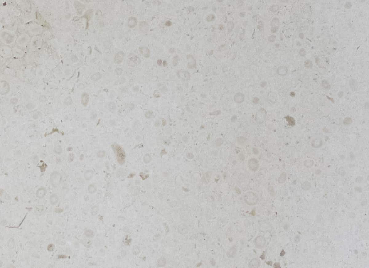 Поддон для душа из натурального камня COCOON Maison ARCH-00070994 - Вид №14