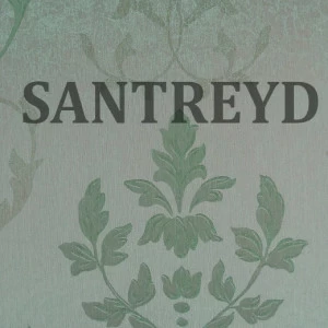 79578 Обои Rasch Selected