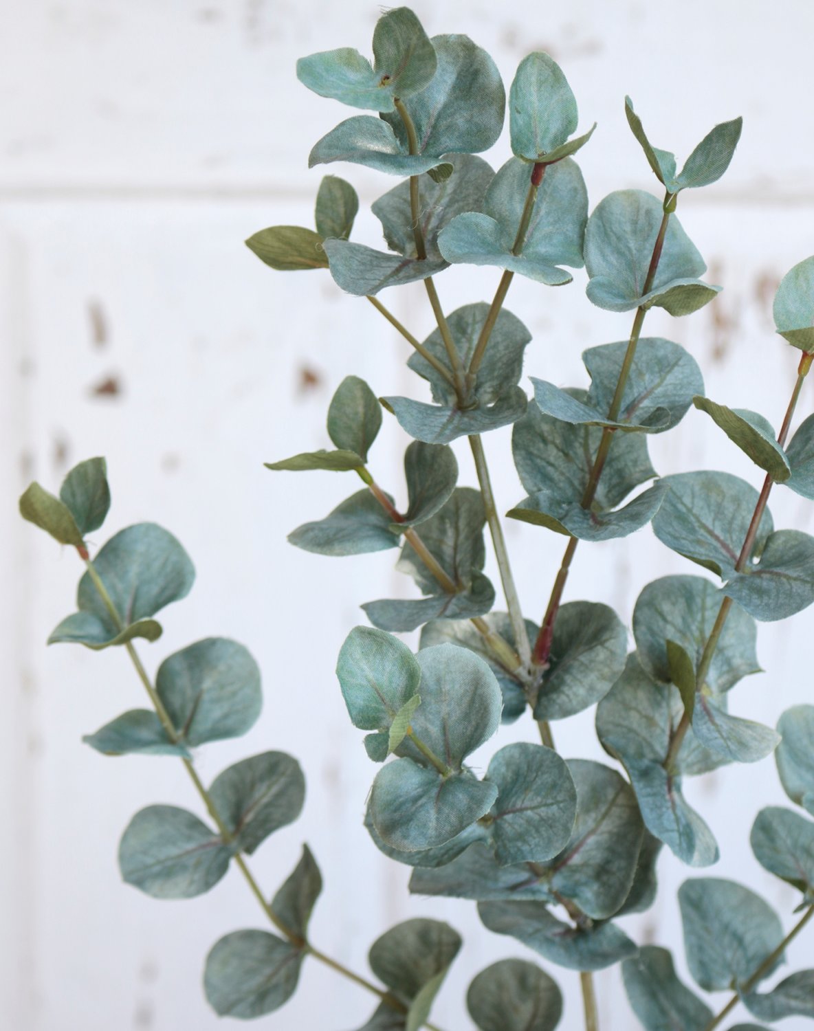 5561 883 a3 Искусственный эвкалиптовый спрей, 74 см, зеленый H-andreas  - Вид №1