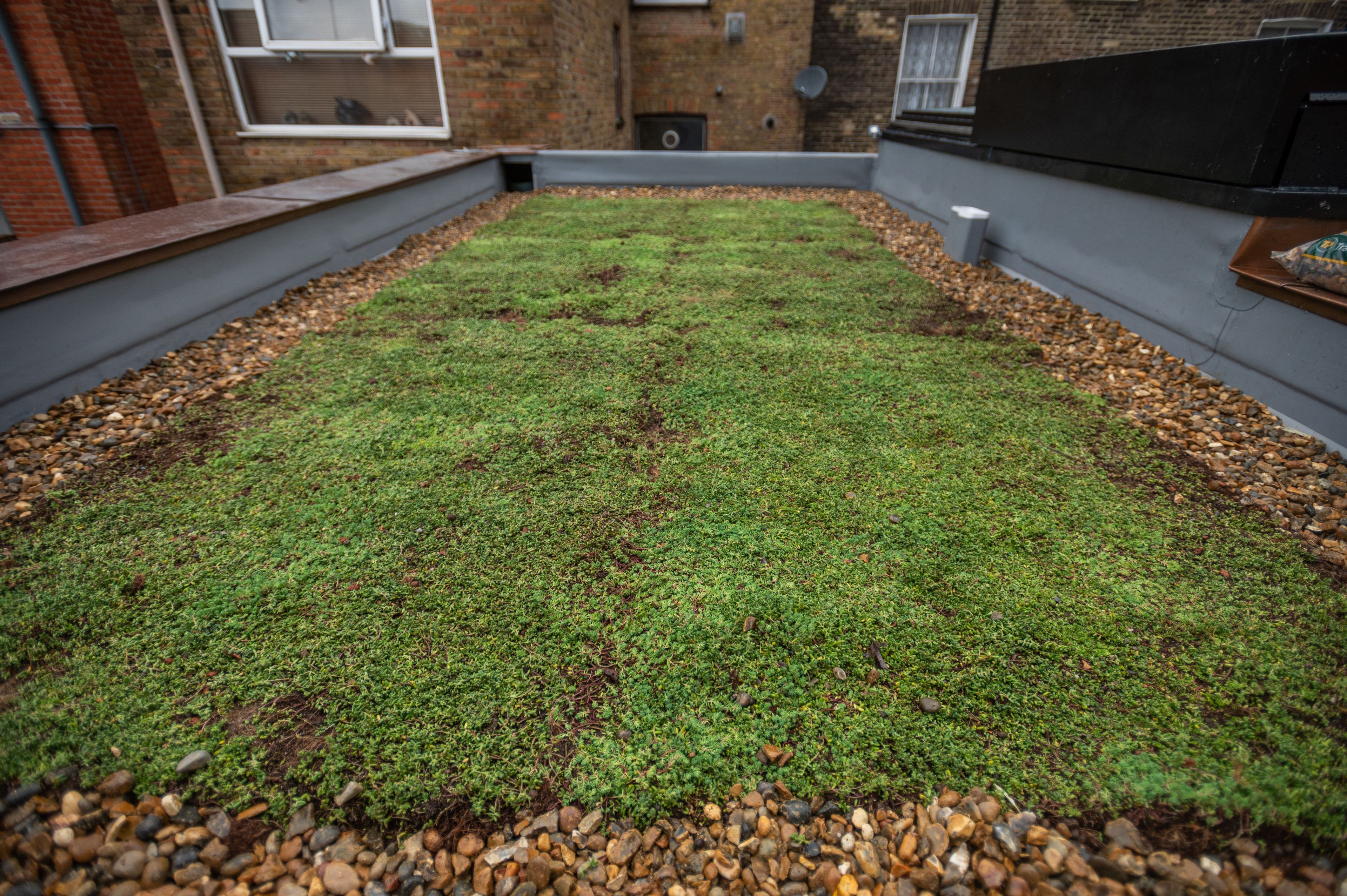 Система крыши сада RENOLIT ALKORPLAN RENOLIT ALKORPLAN Green ARCH-00043728 - Вид №5