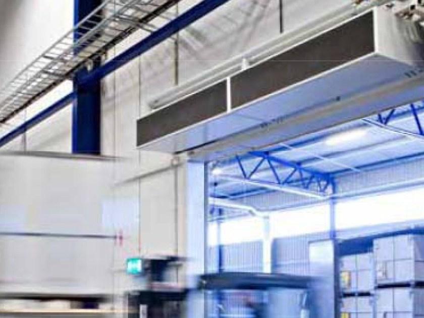 SABIANA Лама д'ария sun-id-1387685 - Вид №7