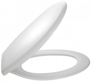 E70014-00 Сиденье для унитаза из полипропилена со медленным закрыванием JACOB DELAFON BRIVE