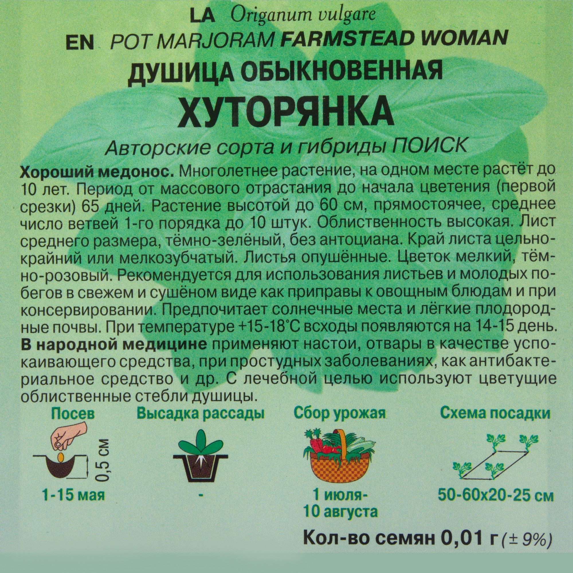 Душица «Хуторянка» от ПОИСК — ароматная пряность и лекарственное растение 18355862 STLM-0010464 - Вид №2