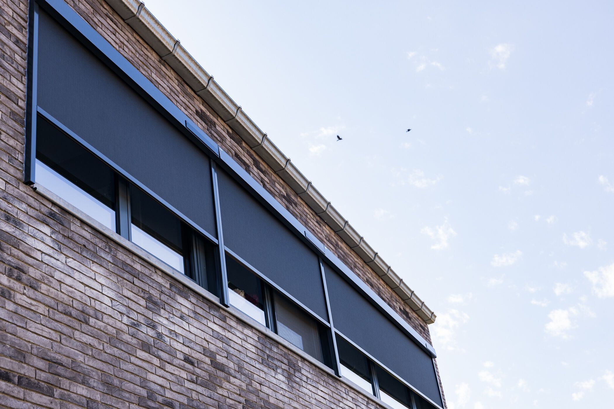 Кессон тент Harol Coolscreen ARCH-00147584 - Вид №9