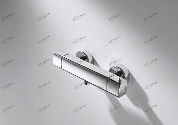 Смеситель термостатический для ванны и душа RAEL F699153C-01 bravat