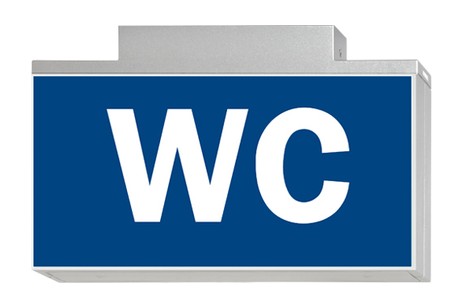 DST-749 Lisu ceiling-mounted Daisalux Светильники аварийные Серебристо-Серый 