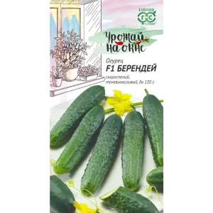 Семена овощей Гавриш Урожай на окне огурец Берендей 10 шт.
