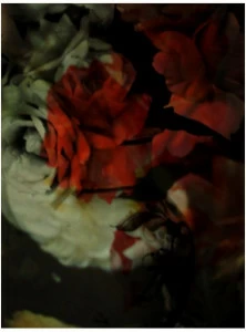 moooi Прямоугольный ковер с цветочным рисунком Signatures