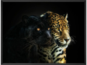 Печать фотографий на бумаге