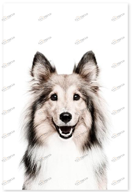 Groovy Magnets Клейкое виниловое украшение  St-92x60-d 