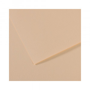200321344 Бумага для пастели Mi-Teintes 160 г/м2 50 х 65 см лист №112 скорлупа Canson