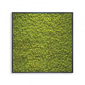 VQU001/1 Рамка для фото Delux Lichene Adriani e Rossi