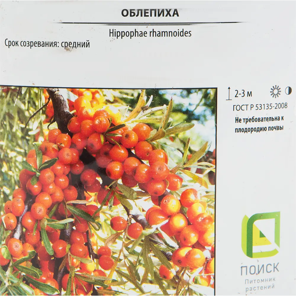 Облепиха «Джемовая» 17.5x50 см 82585428 STLM-2016898 Santreyd  - Вид №1