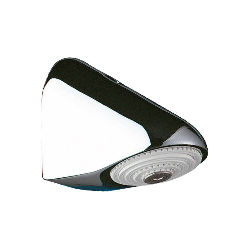 64000 Душевая головка DELABIE 