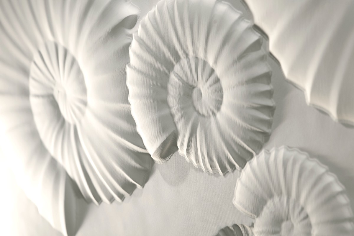 2604 Mobile Ammoniti Bianchini&Capponi STONELIGHT Bianchini Capponi  - Вид №2