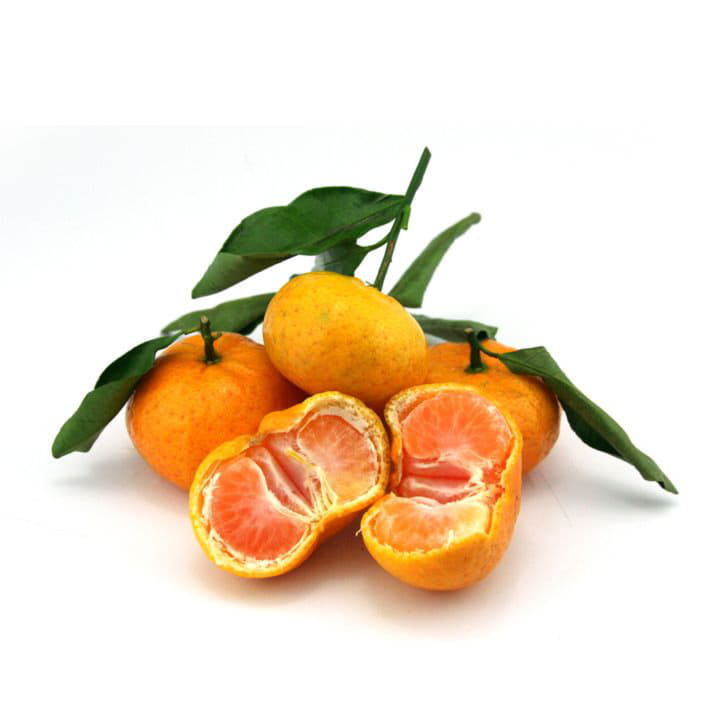 Мандарины сезонные Santreyd 8624