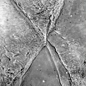 Арт-панель на холсте Alex Turco Liquid Dreams Silver Crossing