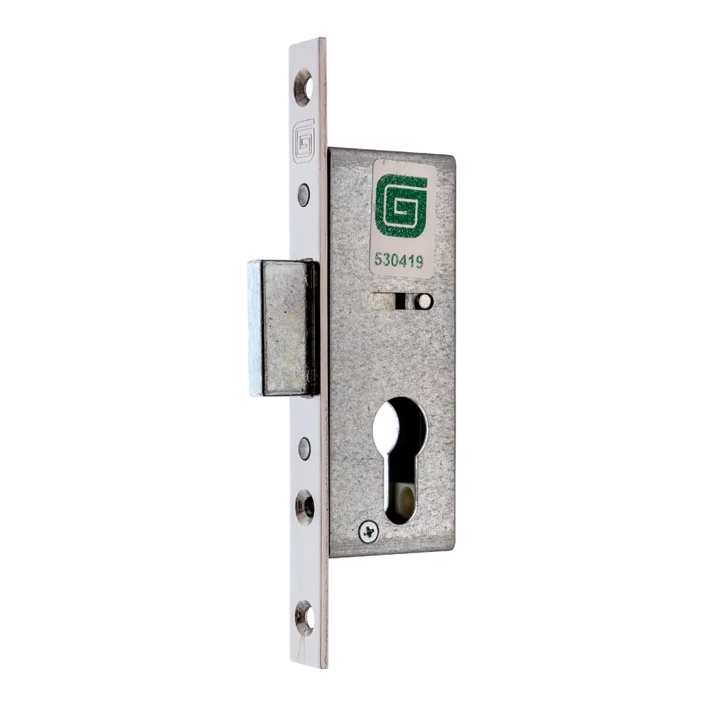 Врезной замок ГАРДИАН Profi 25.01.16 для входных дверей 82391216 STLM-0026248