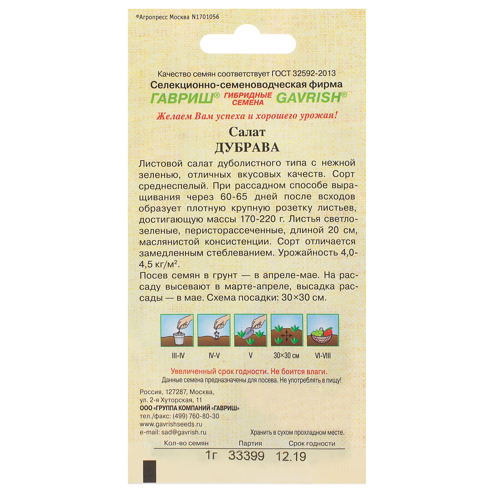 81933329 Семена Салат листовой/маслянистый «Дубрава» 1 г Santreyd  - Вид №1