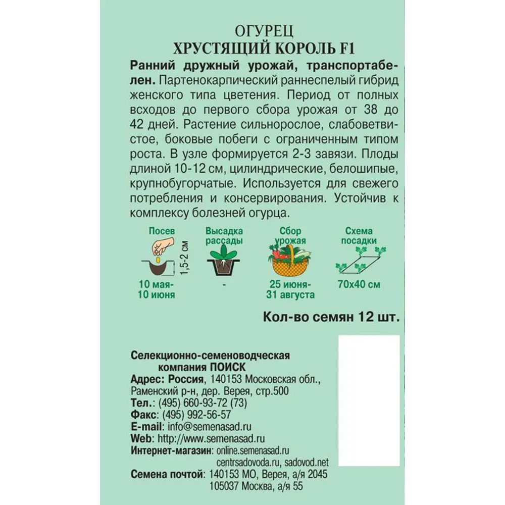 Семена ПОИСК Огурец «Хрустящий король» F1 - ранний гибрид для открытого грунта 82102368 STLM-0018970 - Вид №1