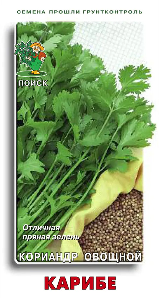Кориандр Карибе от ПОИСК - ароматная зелень для кулинарии 83227417