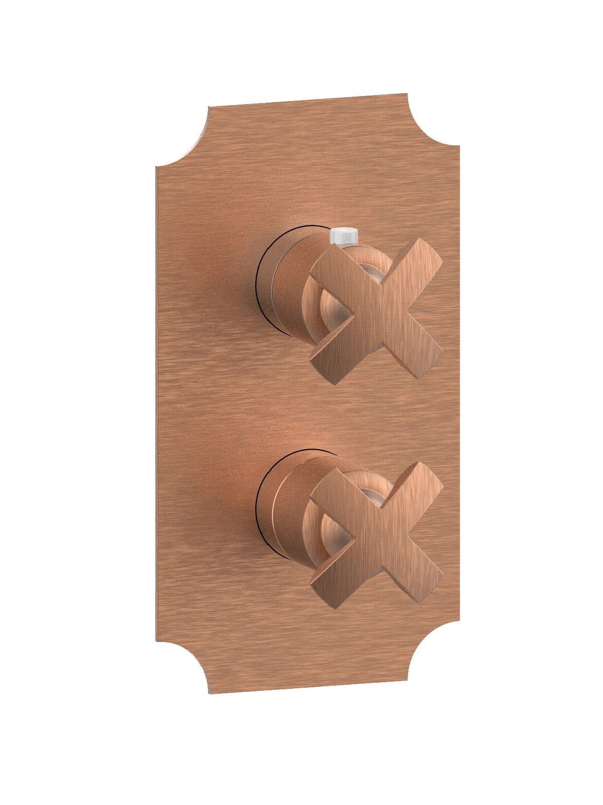 Термостатический смеситель для душа с 2 отверстиями и пластиной Rubinetterie Frattini душевые ARCH-00110184 - Вид №2