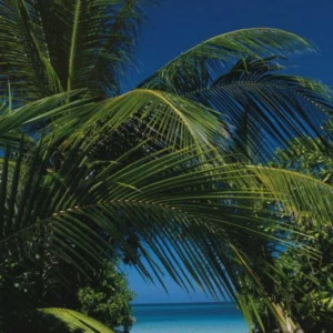 2-1061-To-the-Beach Фотообои Komar Doors 2.2х0.97 м