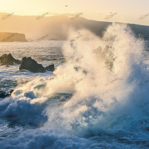 SH032-VD3-Exploding-Elements Фотообои Komar Stefan Hefele 2х3 м SH032VD3EXPLODINGELEMENTS