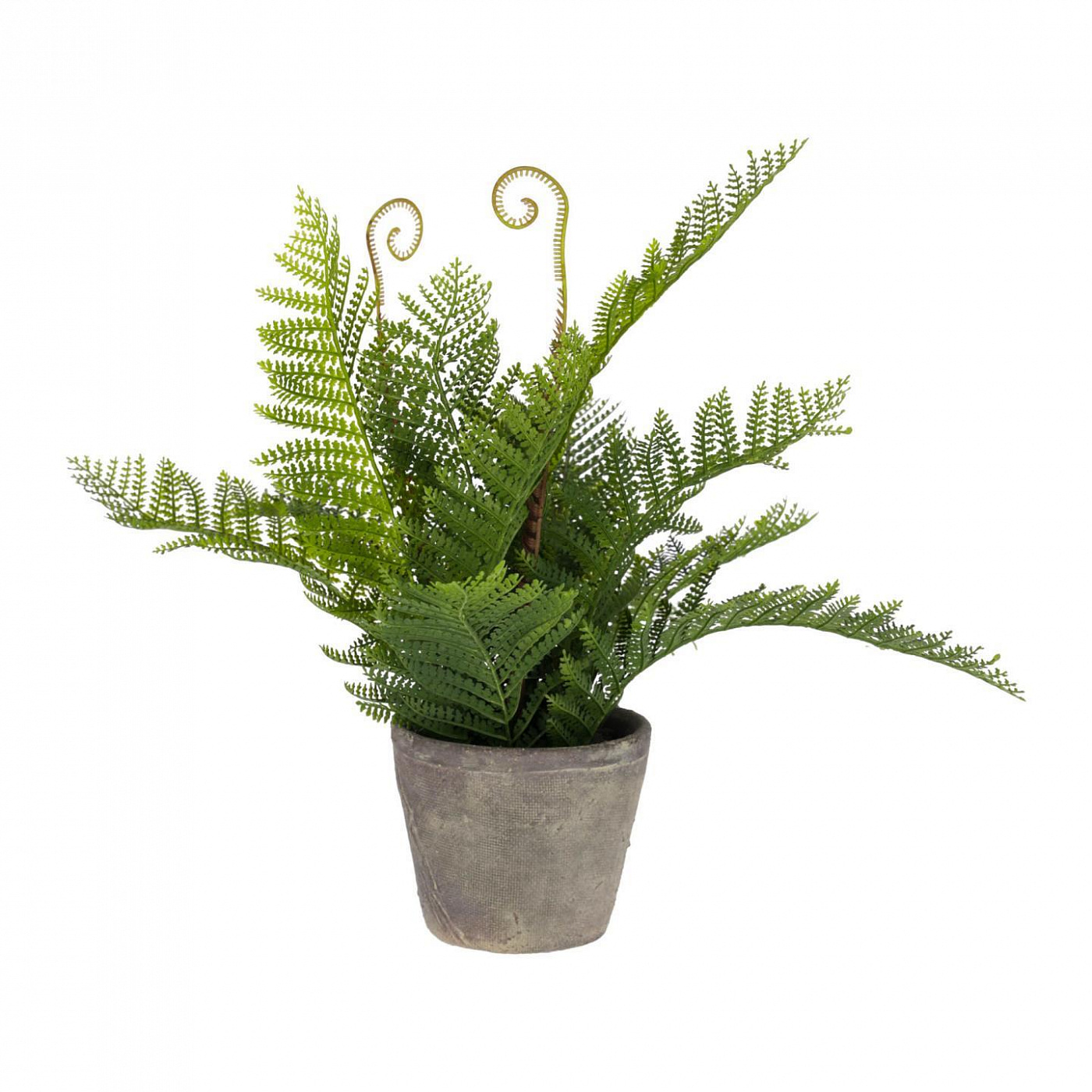 081754 Flower Искусственный папоротник в горшке из цемента 35см La Forma Filicopsida 