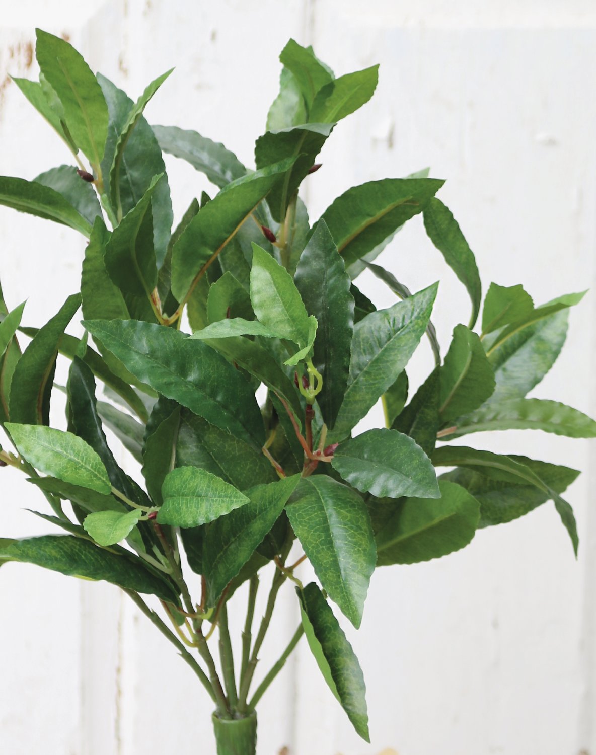 6795 883 a3 Куст искусственного лавра, 50 см, зеленый H-andreas  - Вид №2