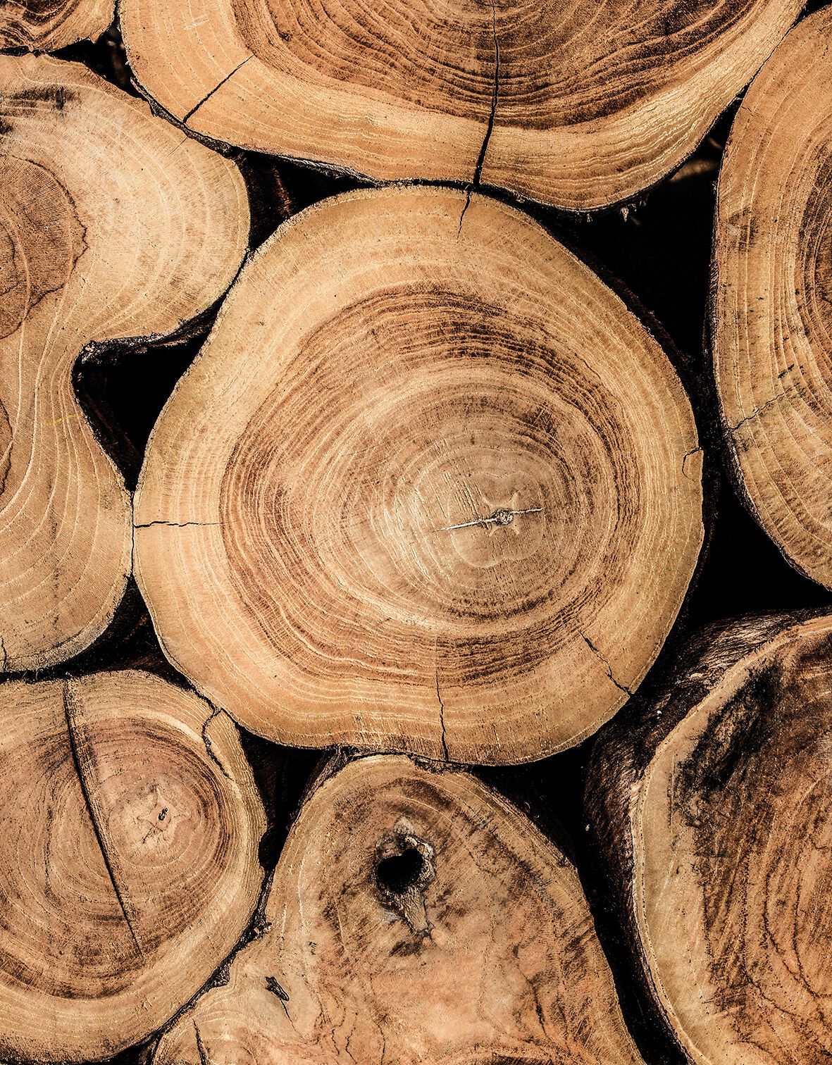 Прямоугольный садовый стол из тикового дерева Gloster ARCH-00117209 - Вид №16