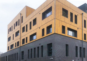 Деревянная панель фасада