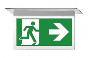 DST-2018 Ikusmet 2211-m Daisalux Светильники сигнальные Серебристо-Серый