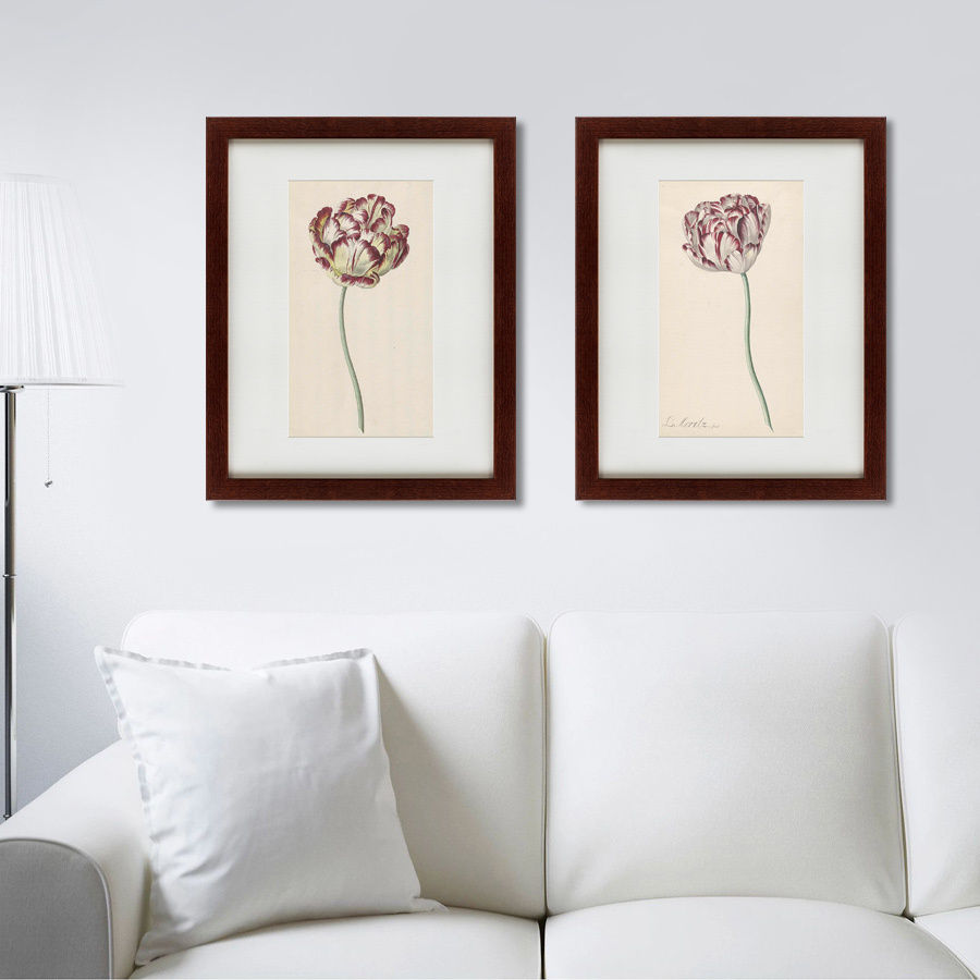 Литография на тонированной бумаге 42х52 см Tulp №2, 1815 КАРТИНЫ В КВАРТИРУ  135616 Бежевый;белый;розовый;разноцветный  - Вид №3