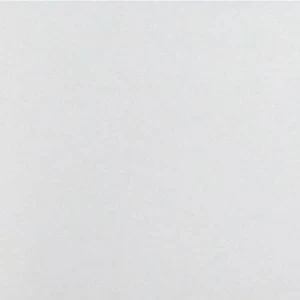 117707 Обои Rasch Wallton