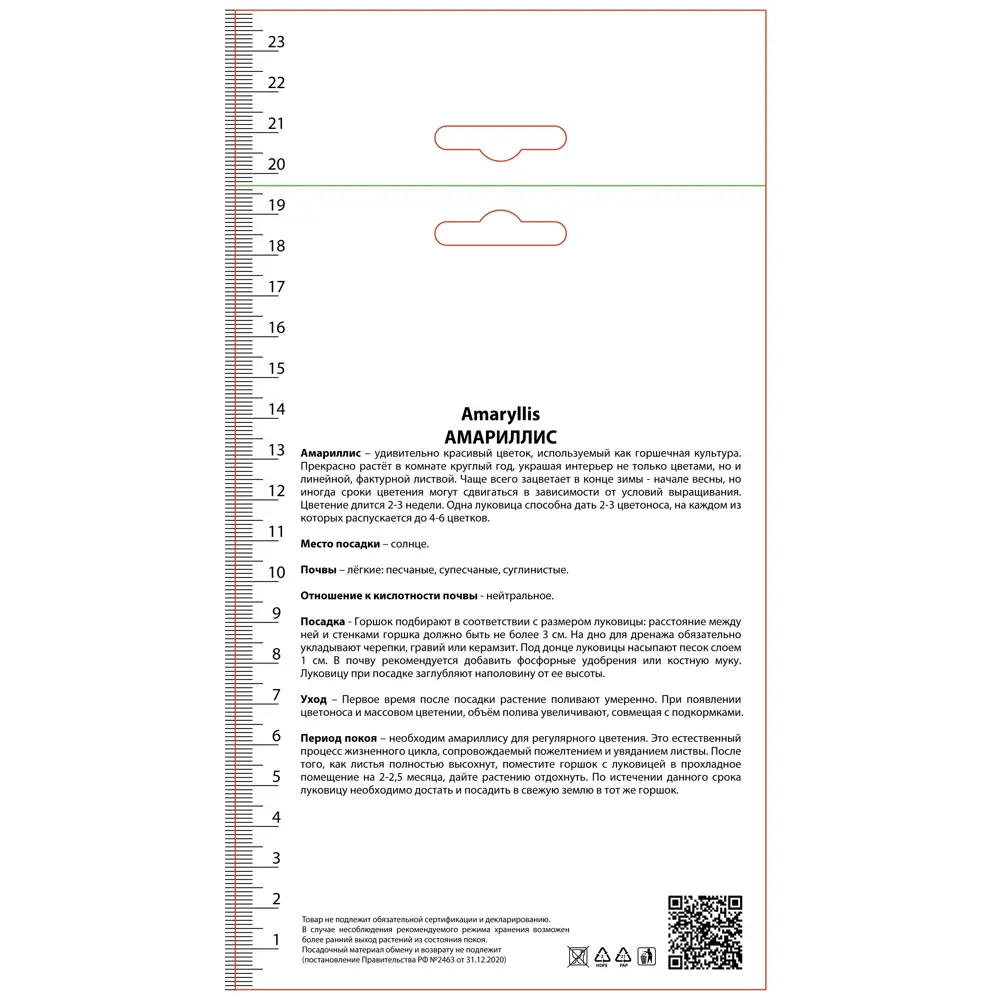 Амариллис простой Геркулес 89452193 STLM-2145839 ПОИСК  - Вид №1