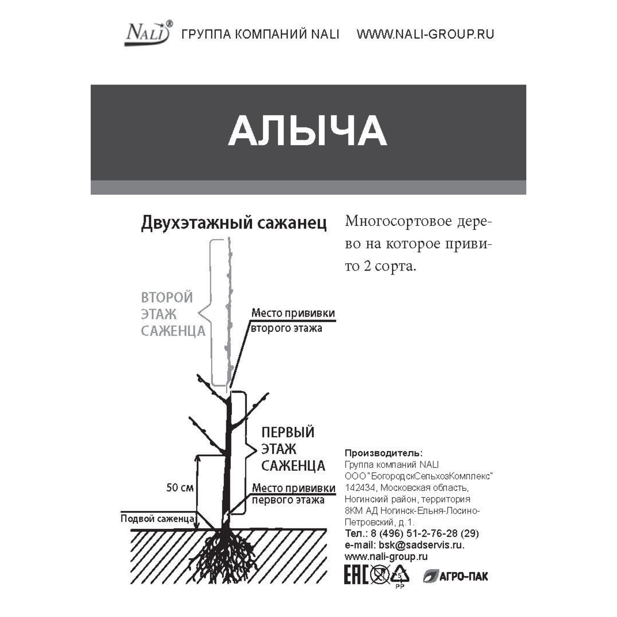 85670471 Слива двухъярусное дерево 2 сорта ø20 h180 см Santreyd  - Вид №1