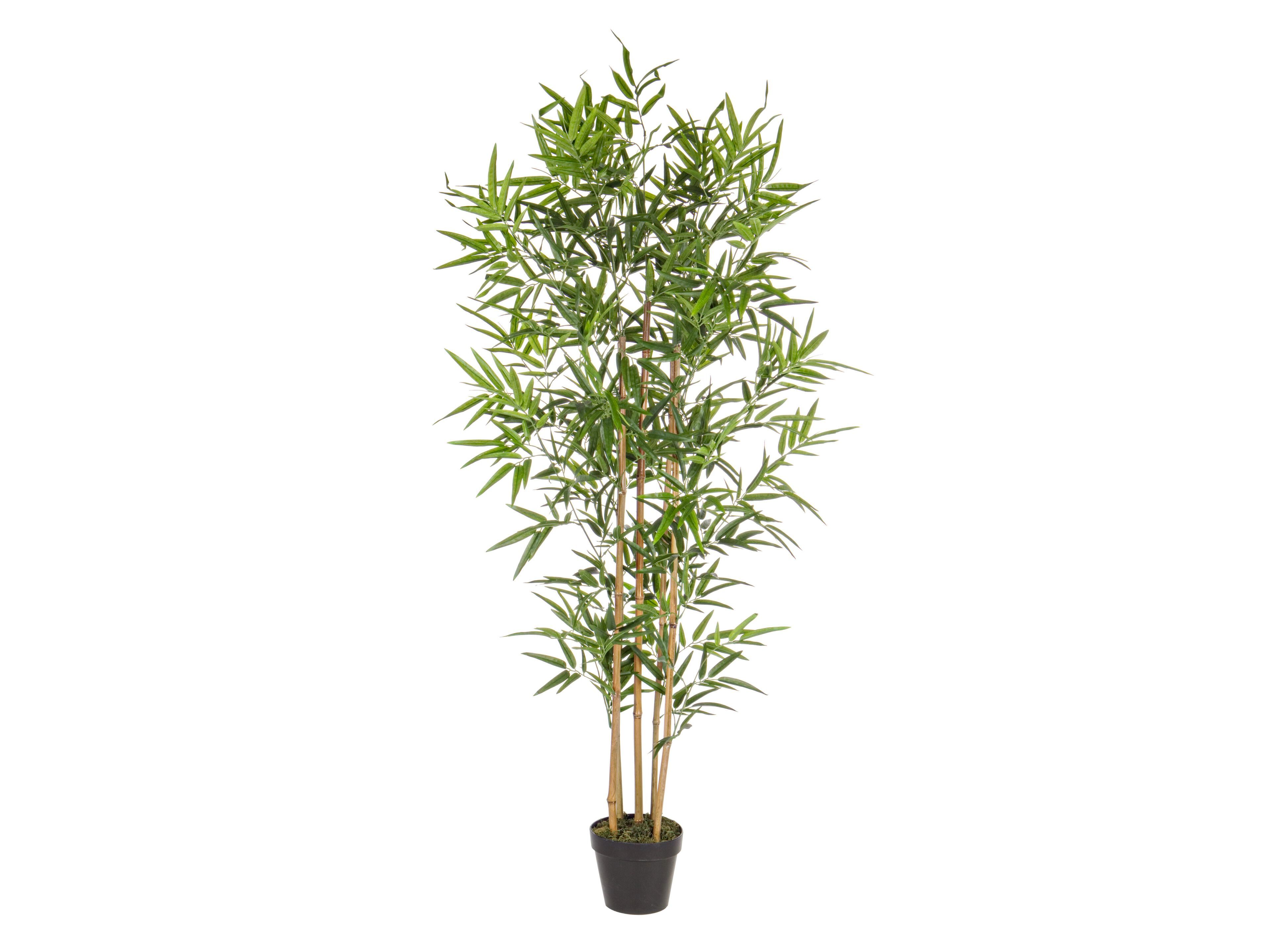 Искусственное растение BIZZOTTO BAMBOO H155 ARCH-00105625