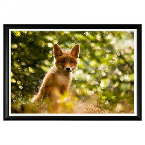 896523226_1818 Арт-постер «Охотничья тропа» Object Desire