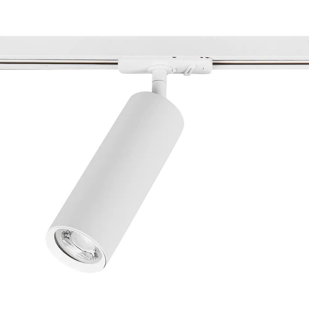 Arte Lamp Beid - трековый светильник с поворотным плафоном 87493355 STLM-1504824