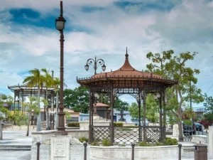 Neri Чугунный экран для дехоров