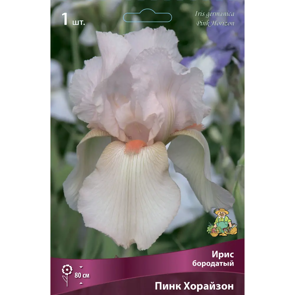 Ирис бородатый Пинк Хорайзон ПОИСК STLM-2204532