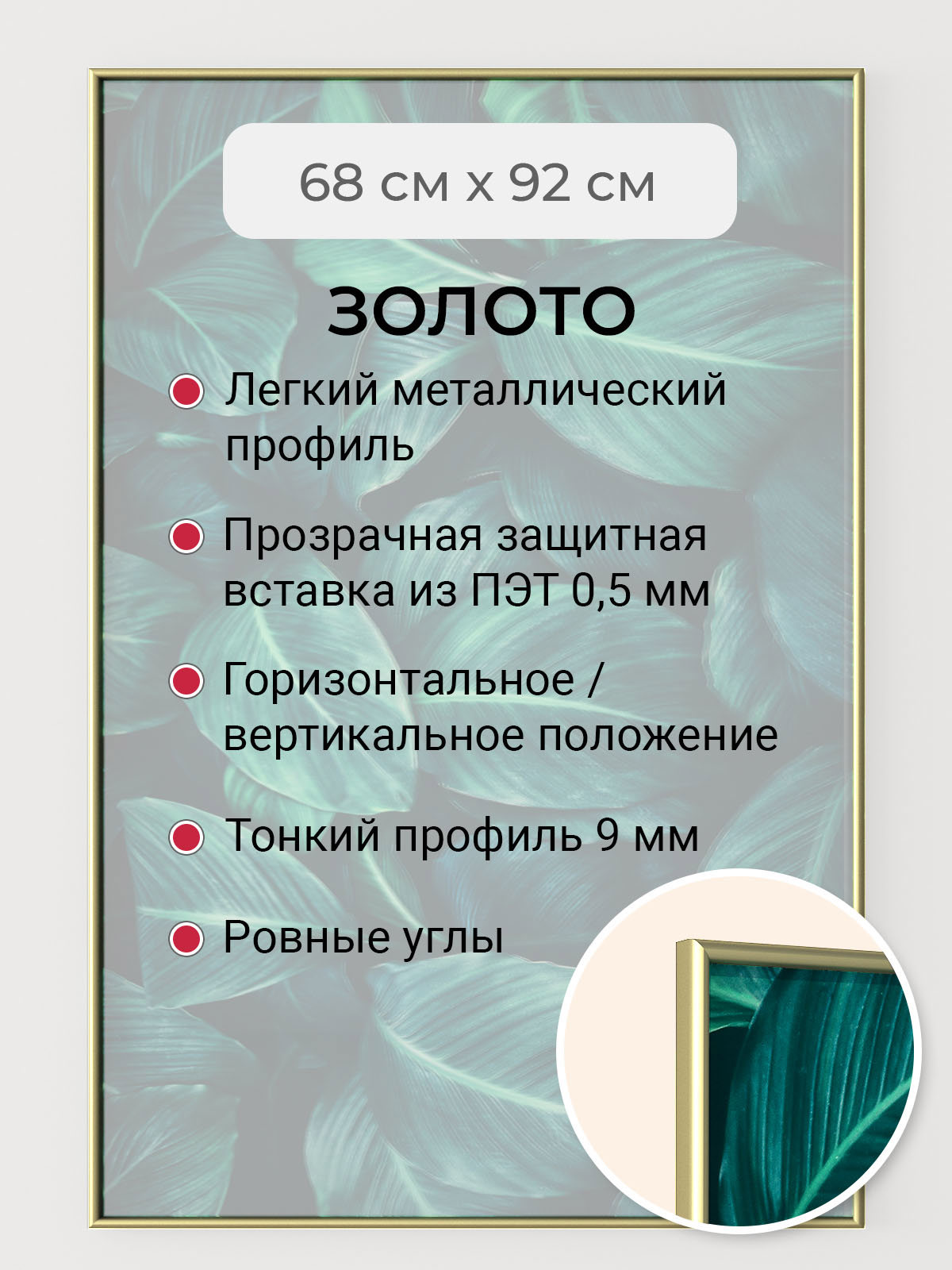 91078975 Рамка Niels-2gm-92х68, 92x68 см, алюминий STLM-0472902 ПЕРВОЕ АТЕЛЬЕ
